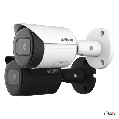 IP-камера Dahua IPC-HFW2431SP-S-S2 | 4 Мп, объектив 2.8 мм | WDR 120dB | ИК-подсветка 30 м | PoE | IP67