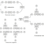 Блок разветвительно-изолирующий БРИЗ
