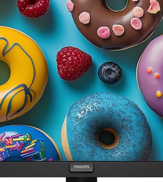 Philips 241V8 100Hz 24″