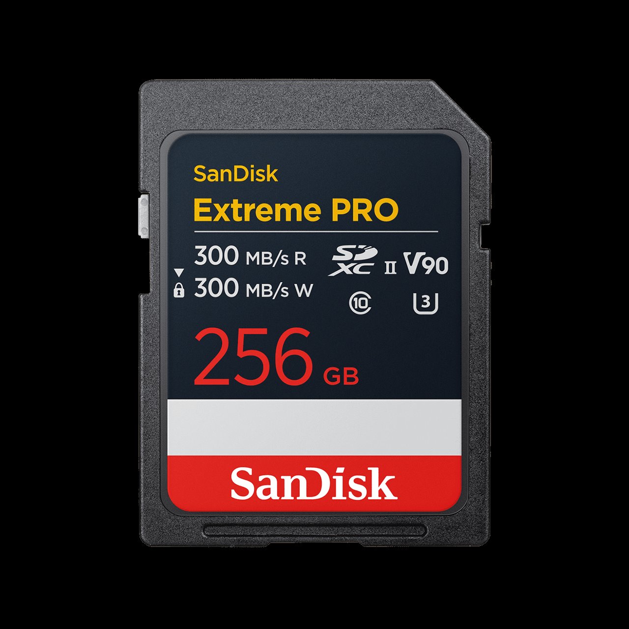 SD Card 256GB