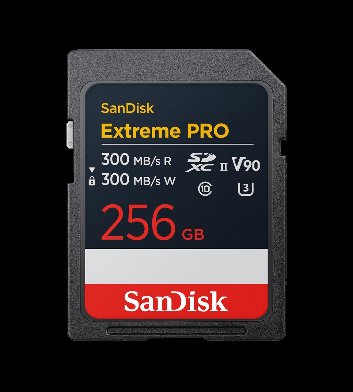 SD Card 256GB