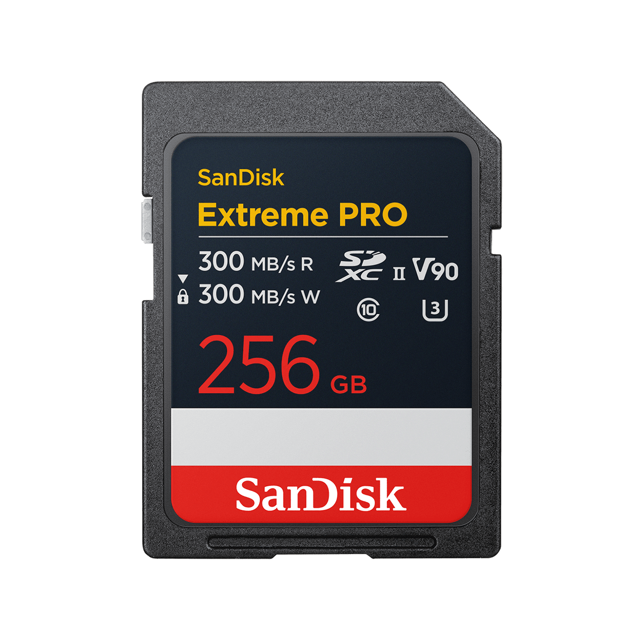 SD Card 256GB