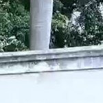 POE ND‑AP0420 (4 POE / 10/100 Mbps)