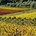 HP 27-CR0035NY i5‑13th / 8GB / 512SSD 27" WHITE