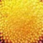 LG 50UR801 COLJ 50" 4K UHD Smart LED TV — α5 AI, HDR10/HLG, ALLM, eARC, webOS