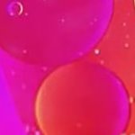 LG 55NANO80 55" NanoCell 4K Smart TV — α5 Gen5 AI, HDR10/HLG, webOS