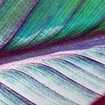 LG 55UR78006 55" 4K UHD Smart LED TV — α5 AI, HDR10/HLG, ALLM, webOS