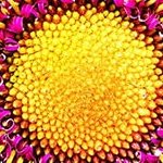 LG 75UR8050 PSB 75" 4K UHD Smart LED TV — α7 Gen6 AI, HDR, webOS