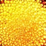 LG 86UR8050 PSB 86" 4K UHD Smart LED TV — α7 Gen6 AI, ALLM, webOS