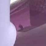 Утюг PHILIPS STEAM IRON DST8021, мощность 2800 Вт