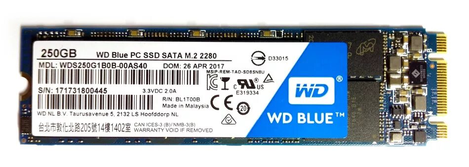 WD M2 Blue 250GB/3000Mbs